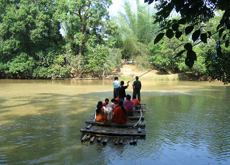 Kuruva Forest