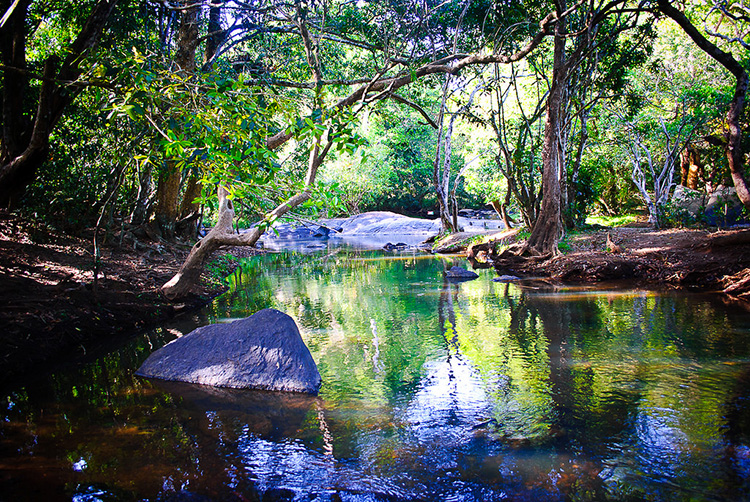 Kuruva River